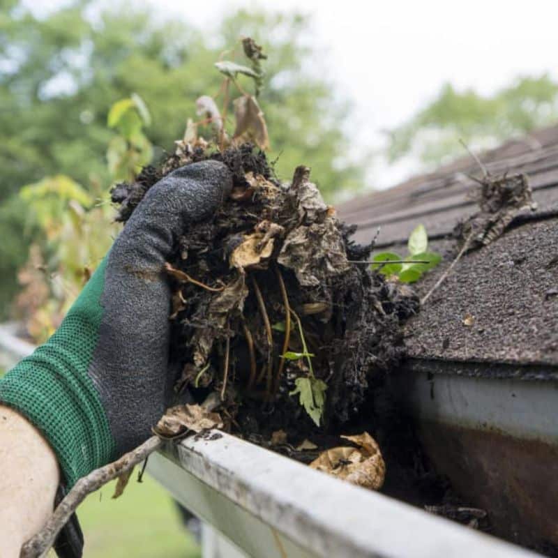 Gutter Cleaning FAQs